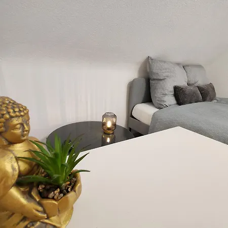 Appartement Top In Mainz-kostheim *